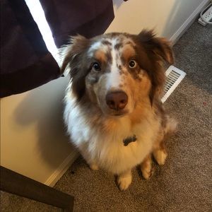 Meet your Posher, Richard